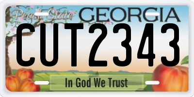 GA license plate CUT2343