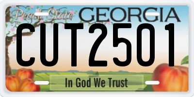 GA license plate CUT2501