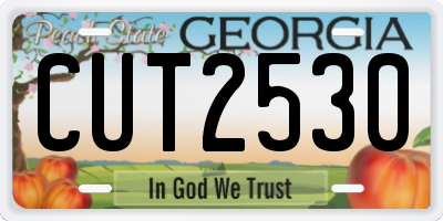 GA license plate CUT2530