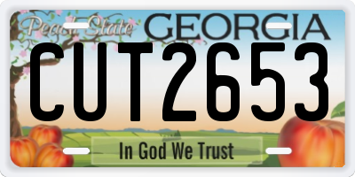 GA license plate CUT2653