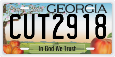 GA license plate CUT2918