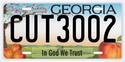 GA license plate CUT3002