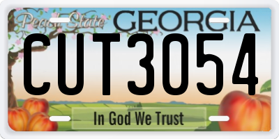 GA license plate CUT3054