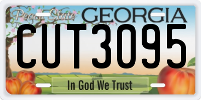 GA license plate CUT3095