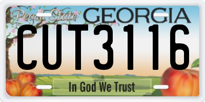 GA license plate CUT3116