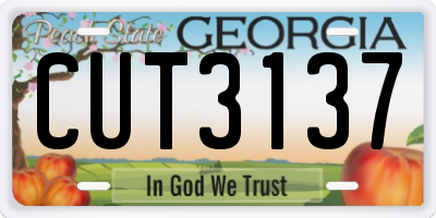 GA license plate CUT3137