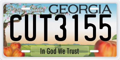 GA license plate CUT3155