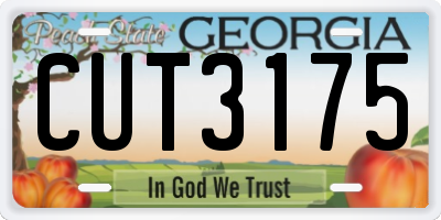 GA license plate CUT3175
