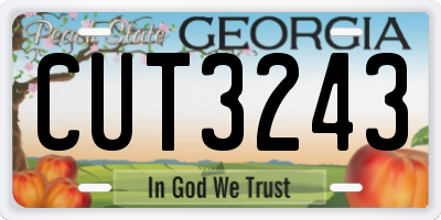 GA license plate CUT3243