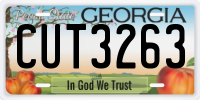 GA license plate CUT3263