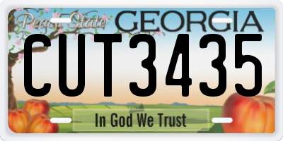 GA license plate CUT3435