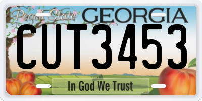 GA license plate CUT3453