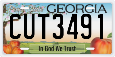GA license plate CUT3491