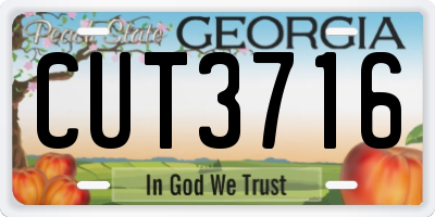 GA license plate CUT3716