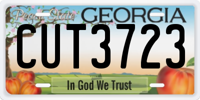GA license plate CUT3723