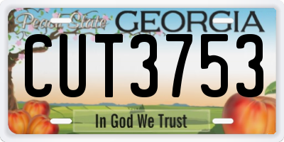 GA license plate CUT3753