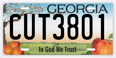 GA license plate CUT3801