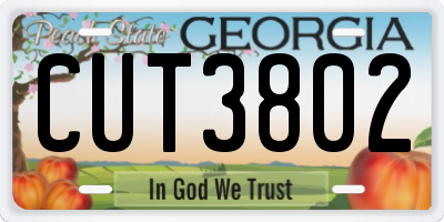 GA license plate CUT3802