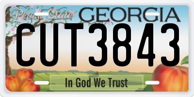 GA license plate CUT3843