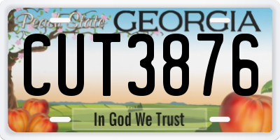GA license plate CUT3876