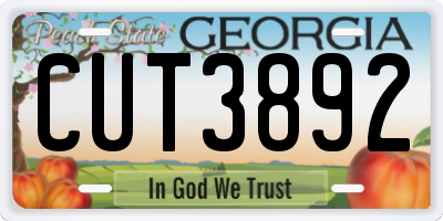 GA license plate CUT3892