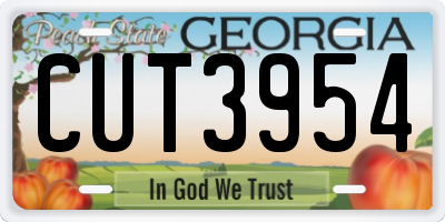 GA license plate CUT3954