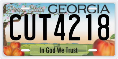 GA license plate CUT4218