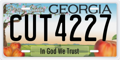 GA license plate CUT4227