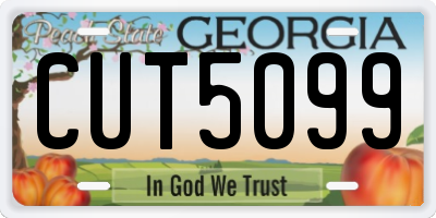 GA license plate CUT5099