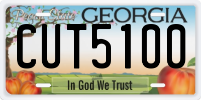 GA license plate CUT5100