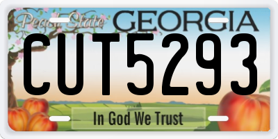 GA license plate CUT5293