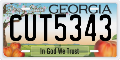 GA license plate CUT5343