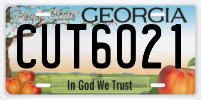 GA license plate CUT6021
