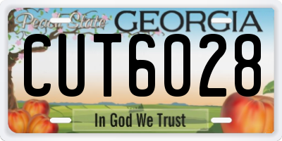 GA license plate CUT6028