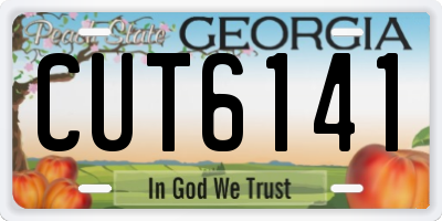 GA license plate CUT6141