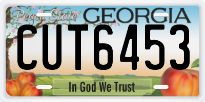 GA license plate CUT6453