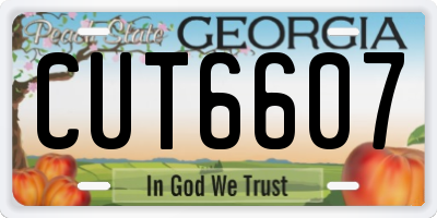 GA license plate CUT6607