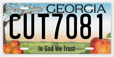 GA license plate CUT7081