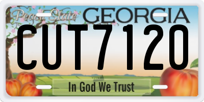 GA license plate CUT7120