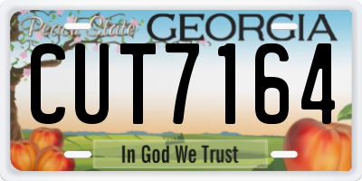 GA license plate CUT7164