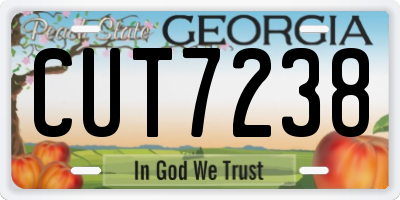 GA license plate CUT7238