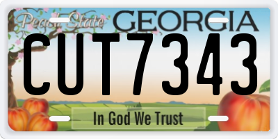 GA license plate CUT7343