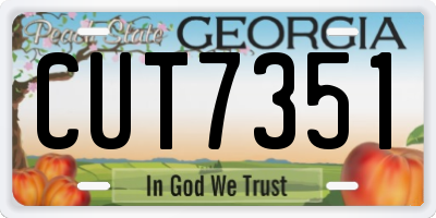 GA license plate CUT7351