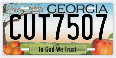 GA license plate CUT7507