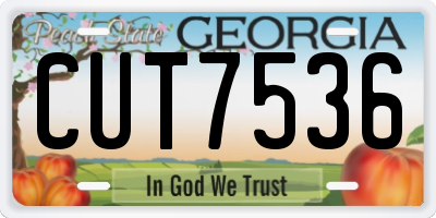 GA license plate CUT7536