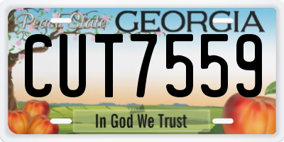 GA license plate CUT7559