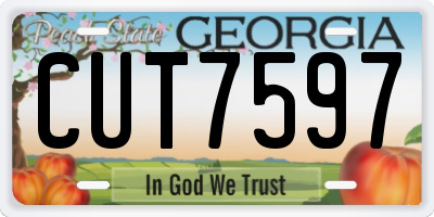 GA license plate CUT7597