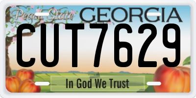 GA license plate CUT7629