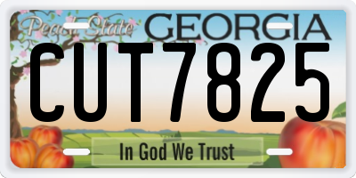 GA license plate CUT7825