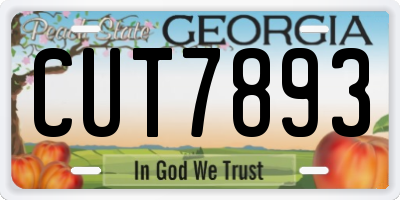 GA license plate CUT7893